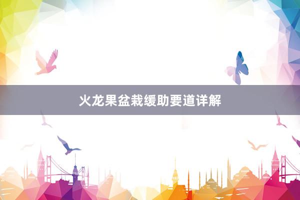 火龙果盆栽缓助要道详解